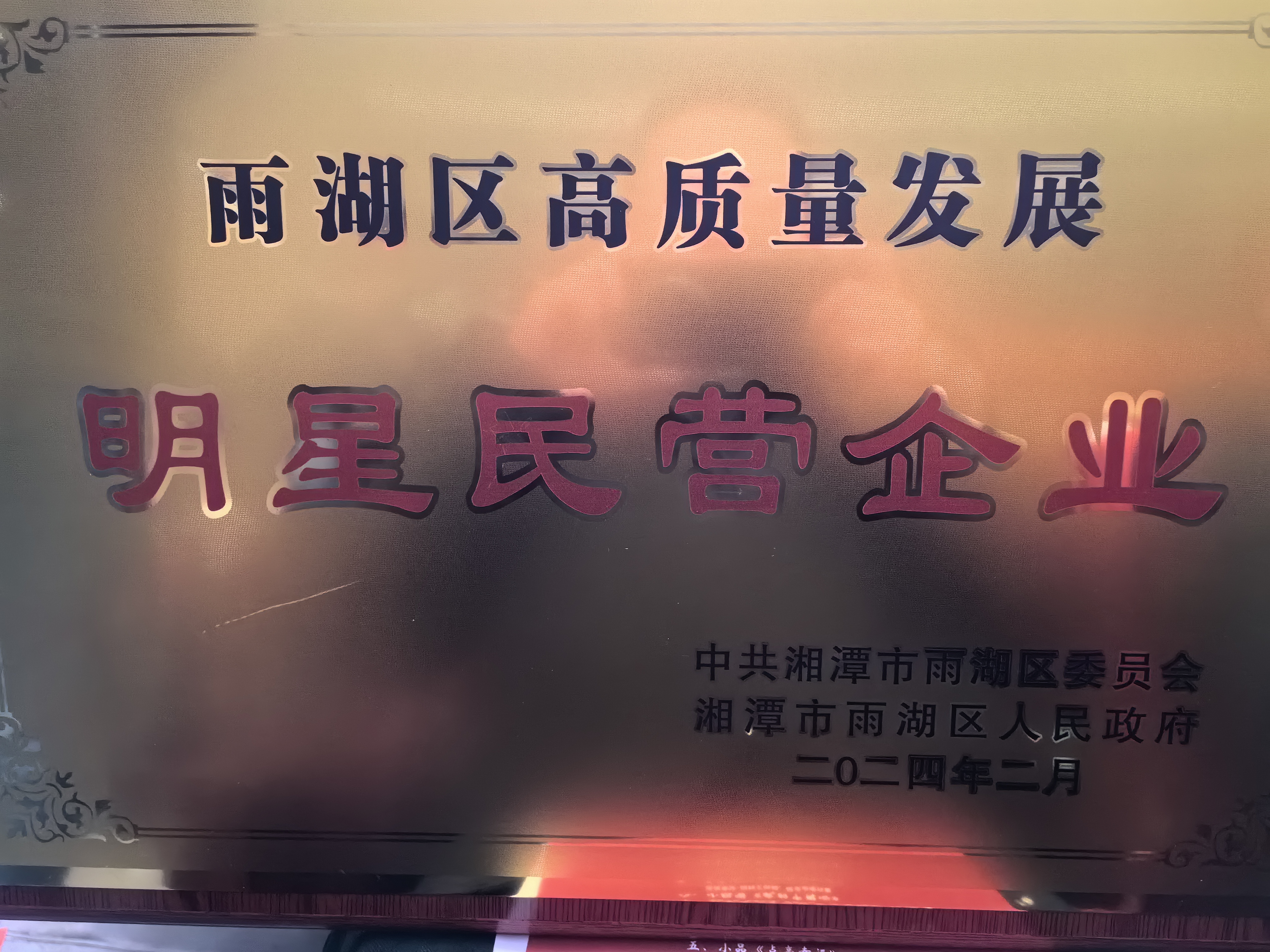乐竞电竞荣获“雨湖区高质量发展明星民营企业”称号